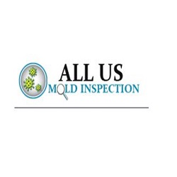 Mold Testing & Inspection Denver - Mold Removal & Remediatio