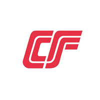 Cosmo Films Limited Cosmo Films Limited