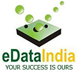 eDataIndia - SEO Company in India
