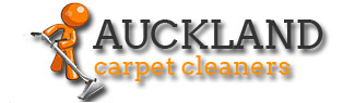 Carpet Cleaners Auckland