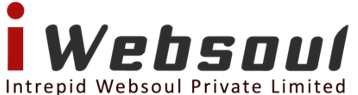 Intrepid Websoul Private Limited - iWebsoul