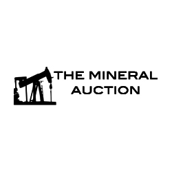 The Mineral Auction