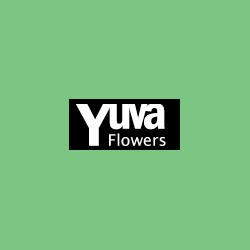 YuvaFlowers