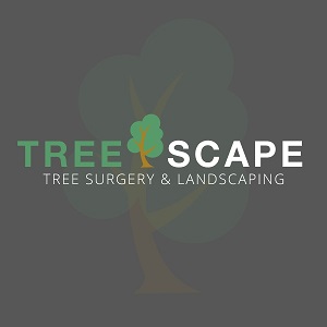 Treescape Treescape