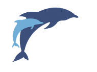 Dolphin IELTS Institute 