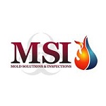 Mold Solutions & Inspections
