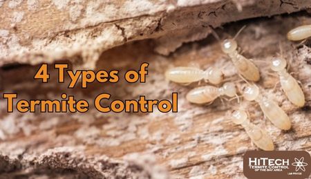 What are the 4 Major Types of Termite Control?