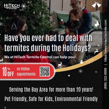 Termite Damage Repair - Termite-Free New Year