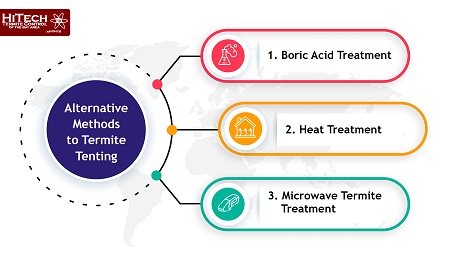 Alternative Termite Extermination Methods to Termite Tenting