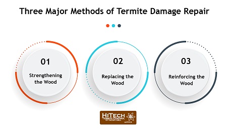 How to Fix Termite Damage - Three Major Methods of Termite Damage Repair