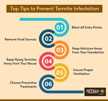 Termite Prevention Methods