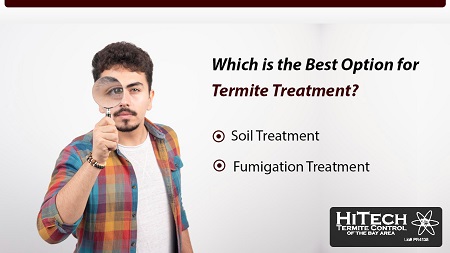 Soil Treatment vs Fumigation - Which is the Best Option for Termite Treatment?