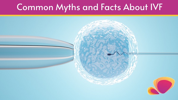 Common Myths and Facts About IVF