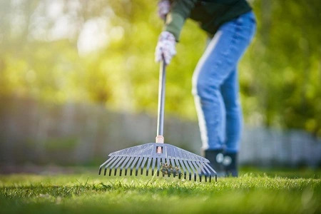 how to clean a landscape? - landscape seasonal clean-up and renovation guide