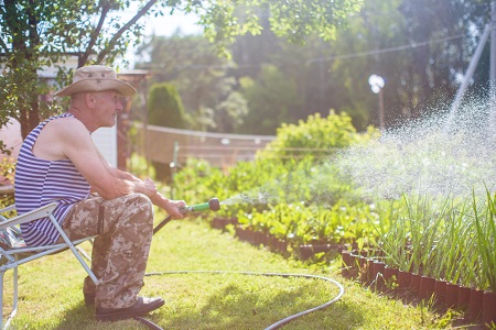 How to protect your garden from heatwaves?
