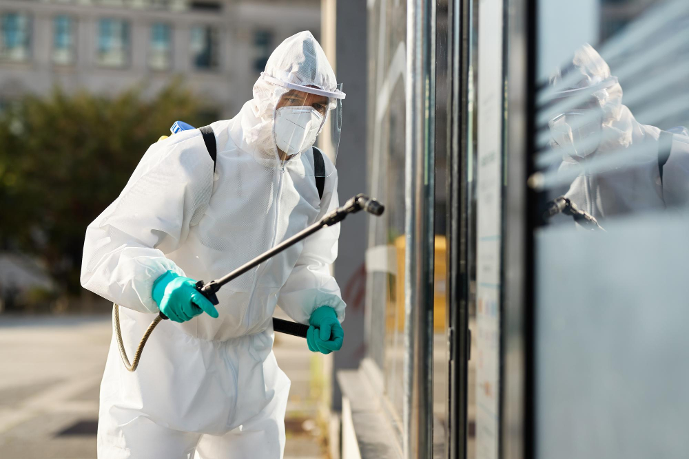 Termite Treatment with a Warranty in Southern California